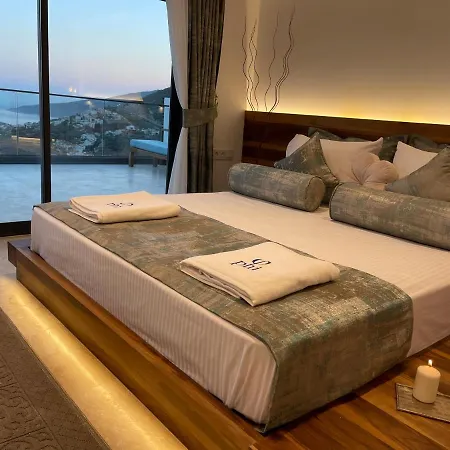 Villa Phi With Heated Indoor Pool